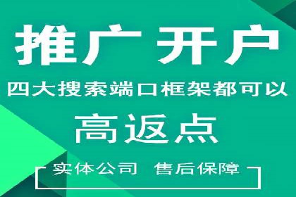 SEM推广代运营公司成功案例解析